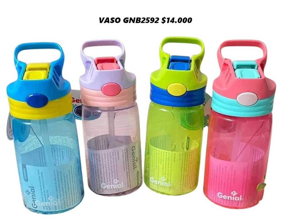 Vaso Gnb2592 *60Und